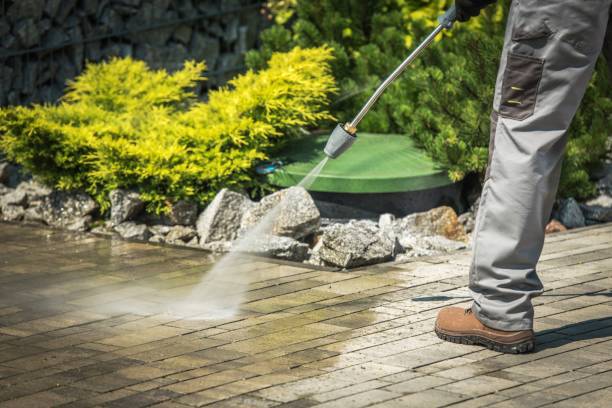 Best Gutter Cleaning  in Barnwell, SC